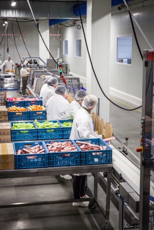 conveyors food