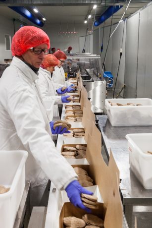 conveyors food